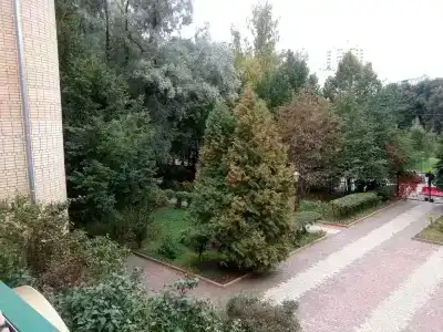 Парк Велес - 24