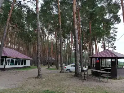 Park semeynogo otdyha Andreevskiy - 90