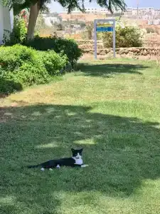 Domina El Sultan & Resort - 20