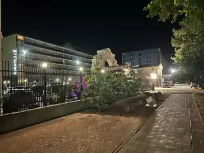 Avdallini Golden Bay - 38