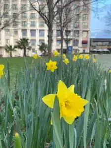 Almira Thermal Spa & Convention Center - 12