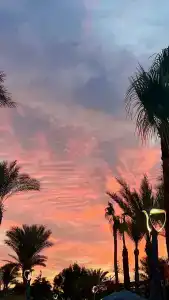 Cataract Resort Naama Bay - 39