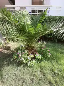 MinaMark Beach Resort for Families and Couples Only - 33