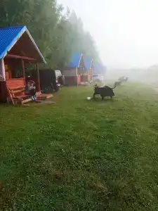 Zolotye peski - 35