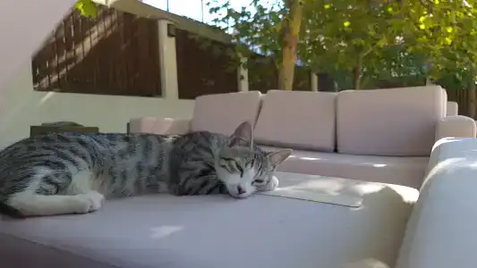 Kuban Pansionat - 41