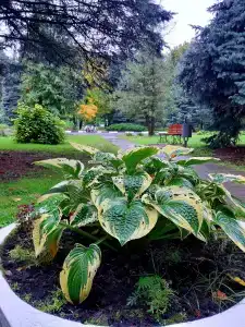 Nagornoe Holiday Home - 38