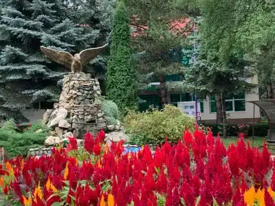 Sanatorii Lesnoi - 30