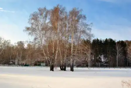 Almaz - 51