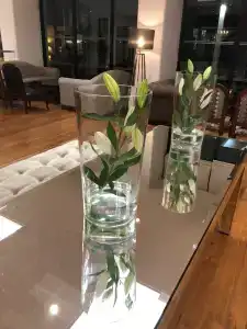 Cyprotel Florida - 27