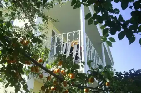 Пансионат Крымские Дачи - 19