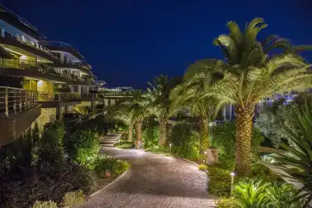 Harmonia by Dukley - 41