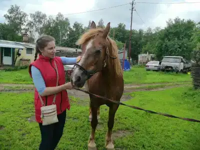 Belaya loshad Tourist base - 7