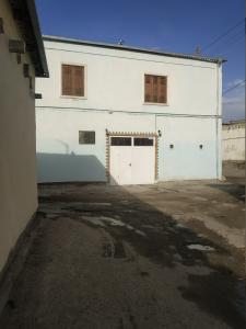 Ali Nur - 20