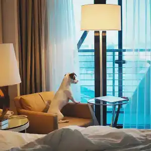 Renaissance Minsk - 61