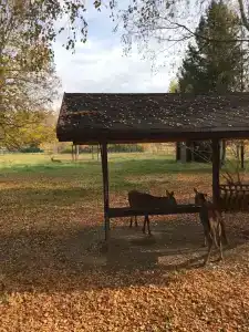 Гранд и СПА Аристократ Кострома - 93