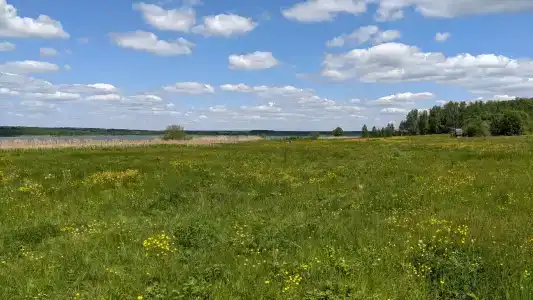Belaya Tsaplya - 95