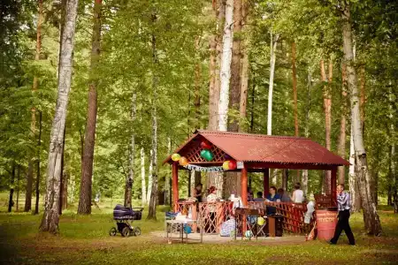 Zagorodnayy Klub Lesnaya Skazka - 49