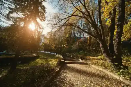 Sanatorij "Rodnik" - 27