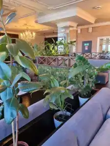 Reston & Spa - 10