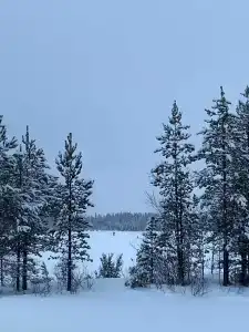 База отдыха "Кица ДСС" - 36