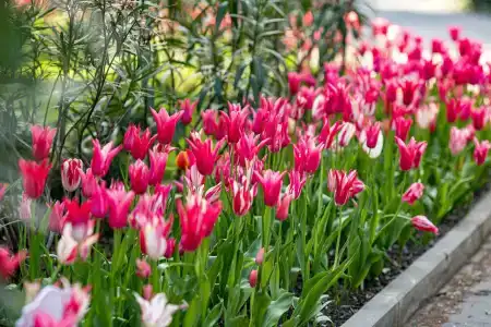 Uzhnoe Vzmorie Health Resort - 9