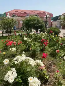 Гостиничный комплекс Джами - 58