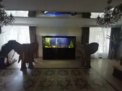 Gostinichny Kompleks "zolotoy Slon" - 53