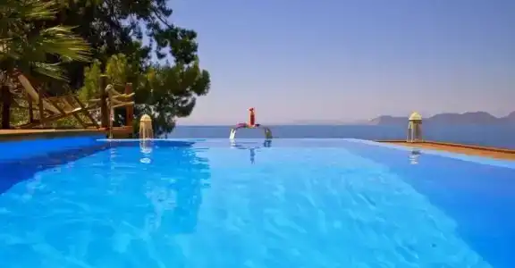 Perdue Adults Only - 3