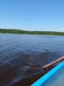Zaliv - 82