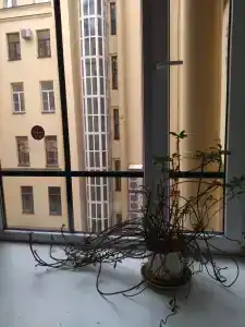 Elegance Moskovsky - 3