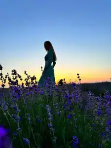 ZaGrad Tourist base - 51