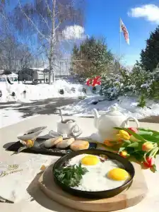 Volzhino Country House - 17