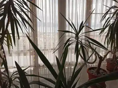 Solnechnaya Gavan - 14