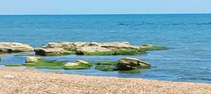 Morskaya Volna Guest house - 17