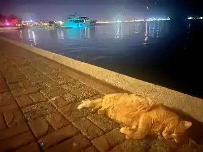 Labranda Mares Marmaris - 42