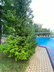 Holiday Home Zimaleto - 7