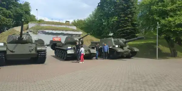 Belovezhskaya pushcha №2 - 11