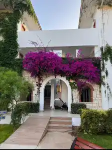 Belconti Resort - All Inclusive - 26