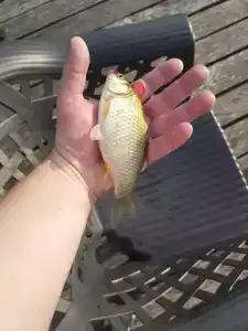 Alpha Garden Guest House - 71