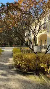 Кронон Парк - 81