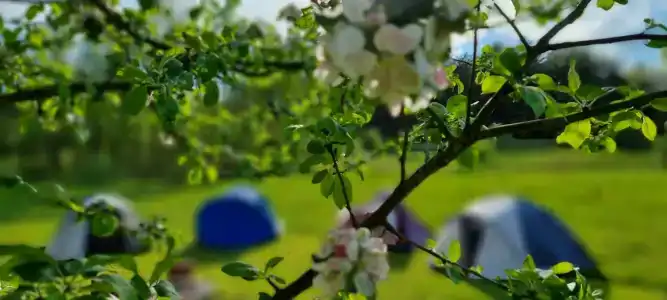 Guest house Lesnoy Edem - 45