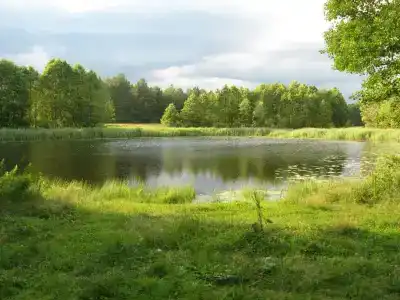 Guest house Lesnoy Edem - 15