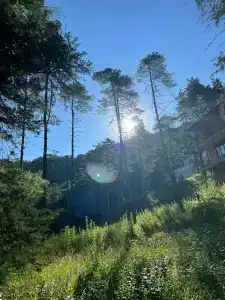 Golubye Ozera Baza Otdykha - 32