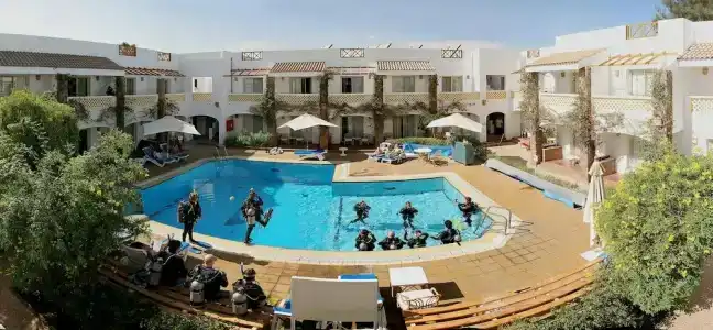 Camel Dive Club & - Boutique - 11