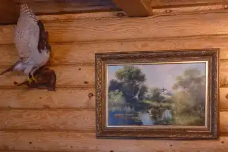 Orlovskoe Pomestie - 20