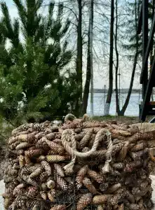 Domiki Recreation Camp - 40