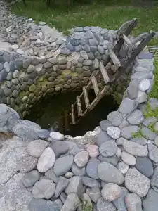 Березка - 13