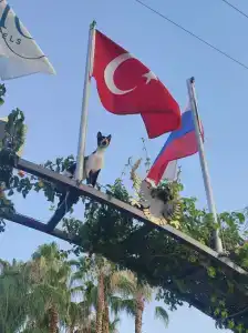 Club Akman Beach - 18