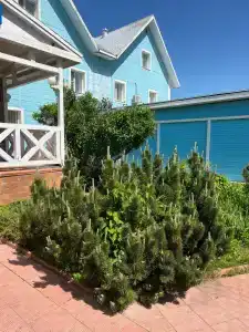 Chistye Prudy Penza - 34