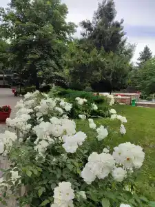 Sanatorii Lesnoi - 24